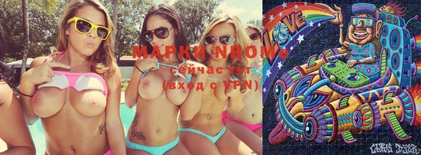 apvp Вязьма