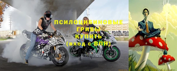 apvp Вязьма