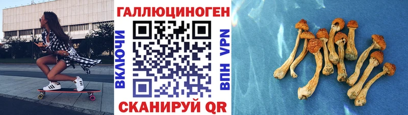 купить   мега ссылки  Псилоцибиновые грибы Psilocybine cubensis  Зубцов 